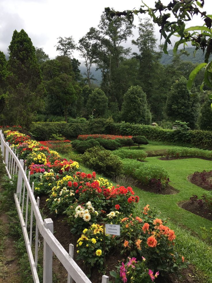 Lush greenery and a stream at the National Botanical Garden